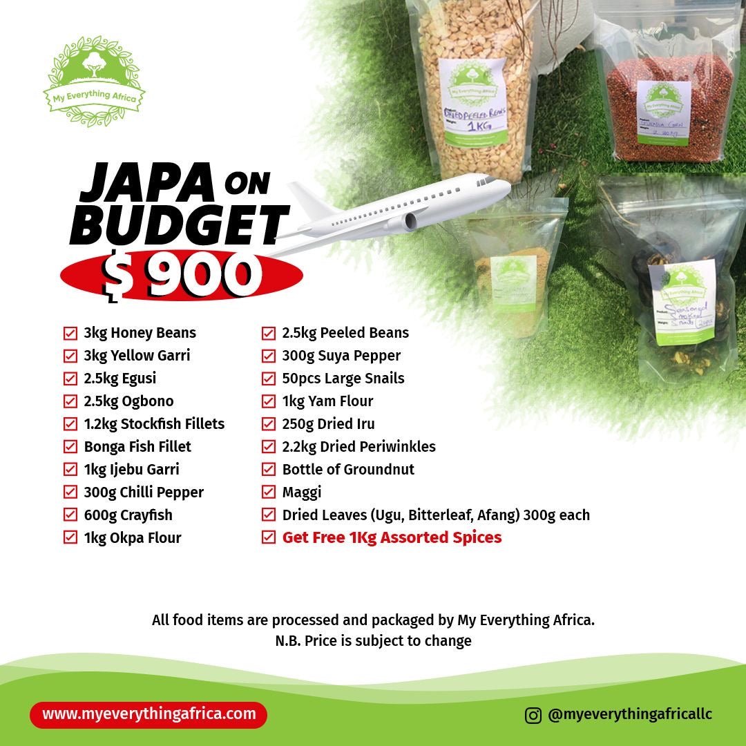 Japa on Budget - $900 Bundle - My Everything Africa