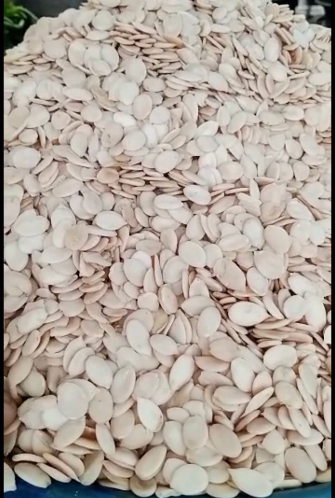 Pumpkin Seeds (Egusi) Grinded (10 oz) - My Everything Africa